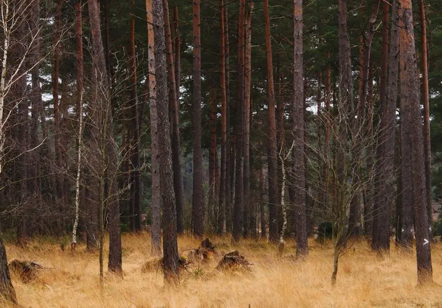 ilgtsp apsaimniekosana